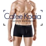 Men's Underwear Men's Boxer Briefs Sexy Breathable Shorts Male Underpants